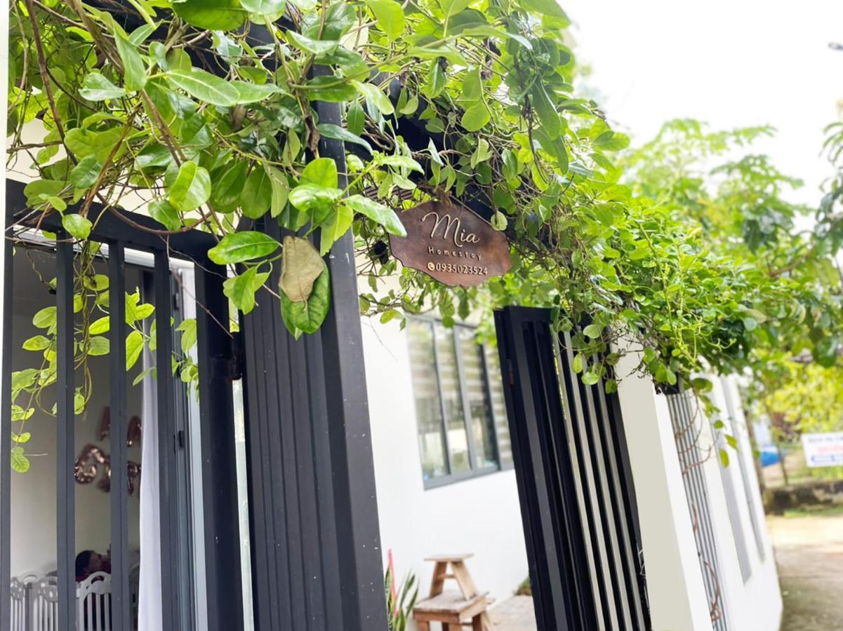 Mia Homestay 会安 外观 照片